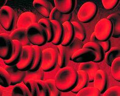 Raccolta di corpi chetonici nel sangue del diabete